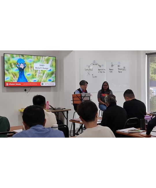NLP (身心语言程式学)学习与认证 2026 NLP (身心语言程式学)学习与认证 2026